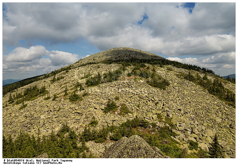 ����, ������������ ����, ����, �������, �����, ������, ������, �����������, �������, ����, ����, ������� �������, ����� ����, ����������� �������, ��������, ����, ������, �������, ��������, ������