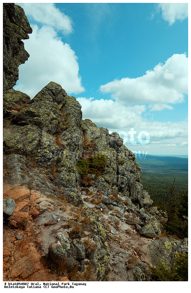 ����, ������������ ����, ����, �������, �����, �����, ������, ���, ������, �������, ��������, ���, �����, ��������, ��������������, ����, ������� ���, �����, ����� ����, ��������, ����������� �������, ����, ����