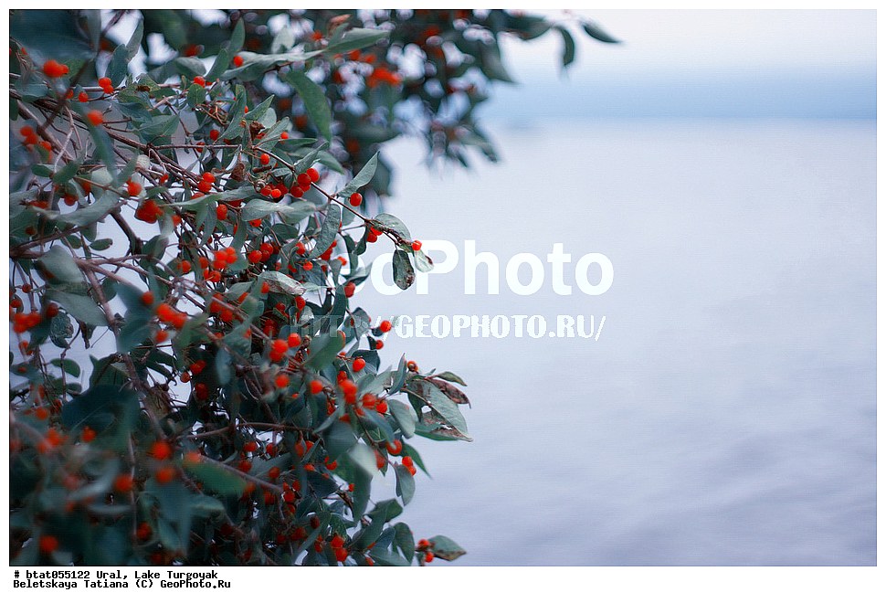 ����, �����, �������, ����, ������, �����, �����, ��������, ��������������, ������, �����, ����� ����, ����������� �������, �����, ����, ������, ��������, �������, ��������, �����