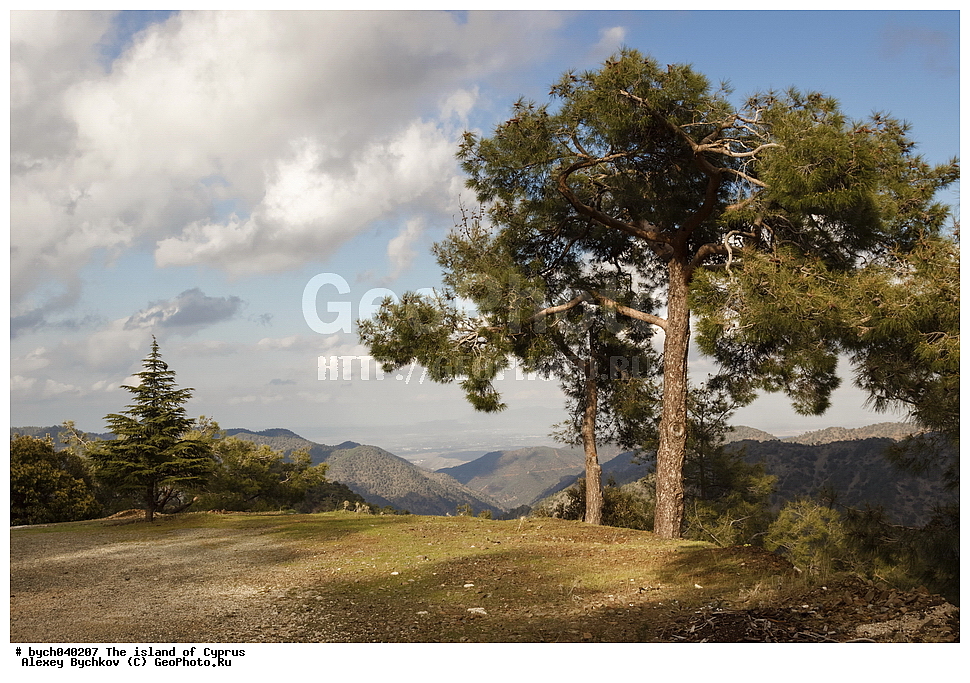 ������, ����, ����, �������, ���� �������, 