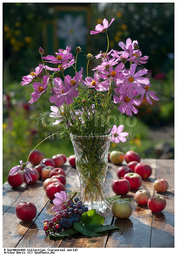 ������ ���, �������, ������, ��������, ������, ����, ����, ���������.