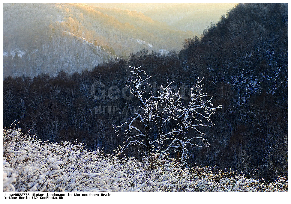  ������ ������,  ������������  �������, ����, ������, ����� ����