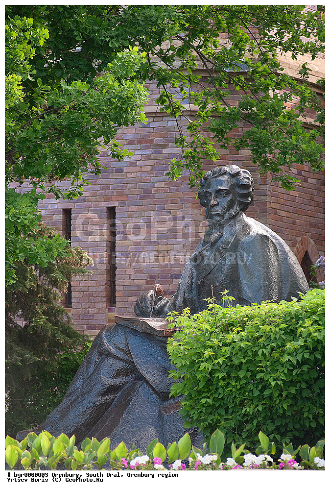 ����� ���� , ���������� �����,  ������������ �������, ��������, �������� �������