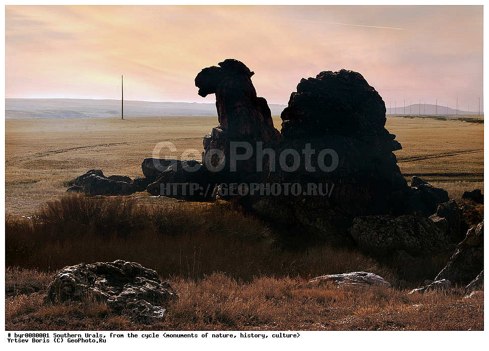 ����� ���� , ��������, �������, �������, ��������