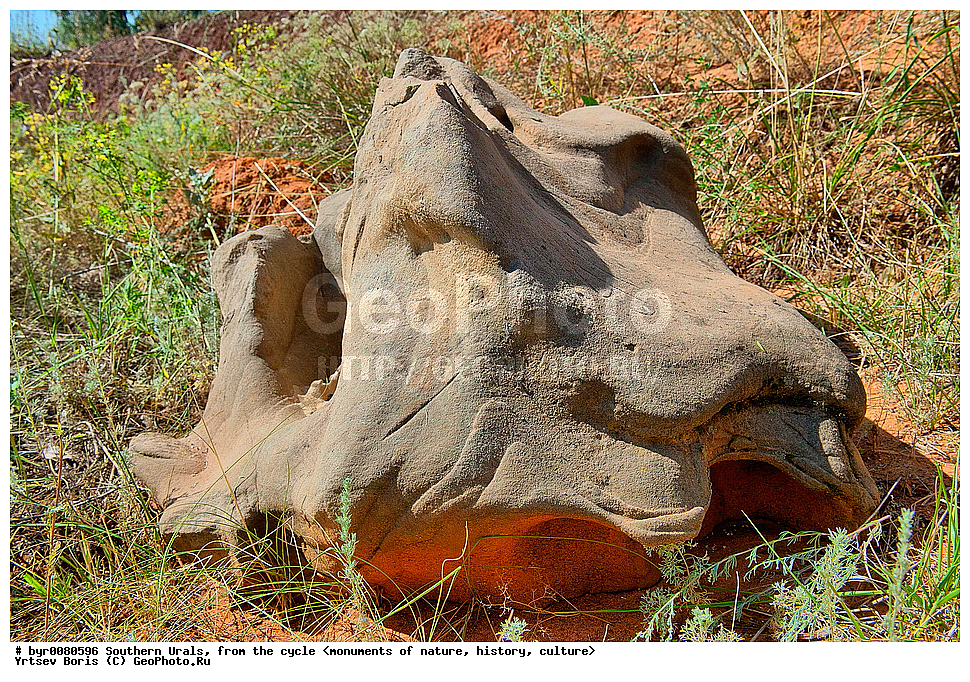 ����� ���� , ��������, �������, �������, ��������