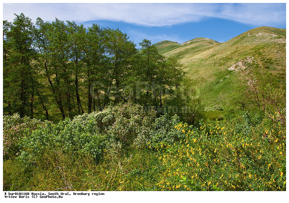  ����� ����, ������������ �������, ���������