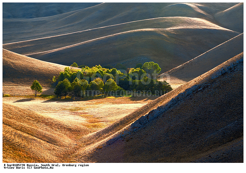  ����� ����, ������������ �������, ���������