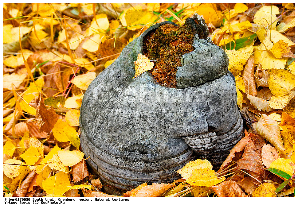 ����� ����, ������������ �������, ������������