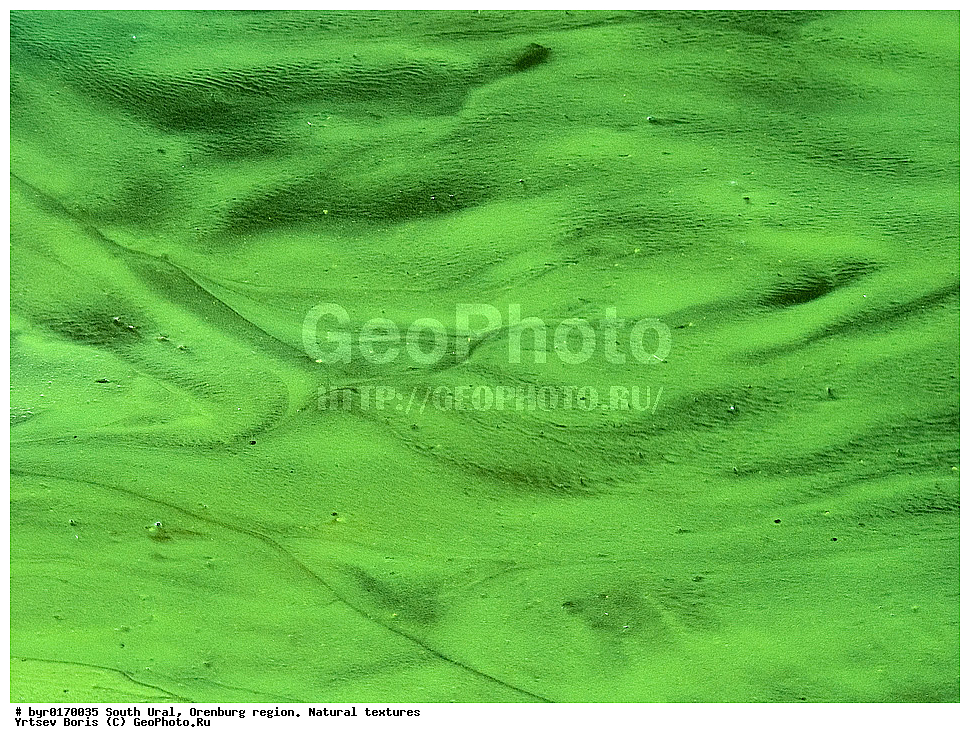 ����� ����, ������������ �������, ������������