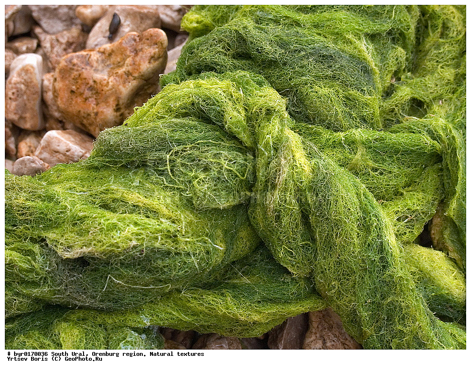 ����� ����, ������������ �������, ������������