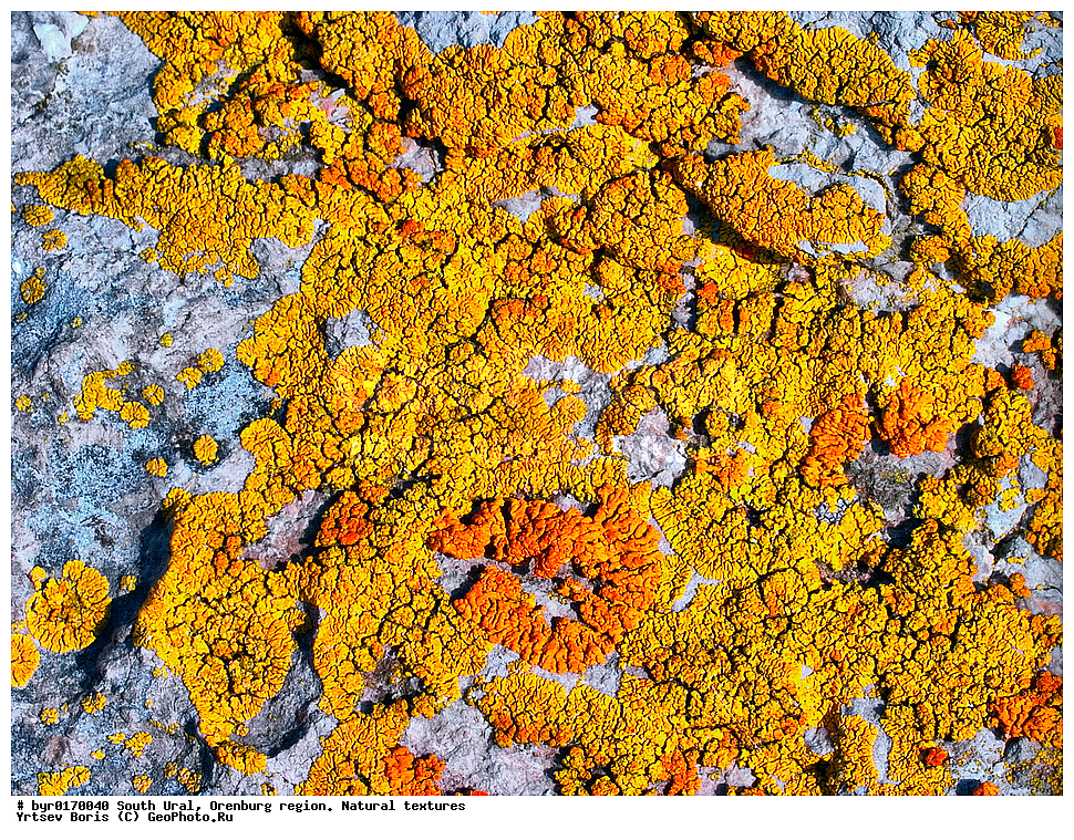 ����� ����, ������������ �������, ������������