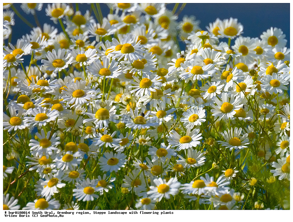  ����� ����, ������������ �������, ���������, ���, �������, ��������, �����, ������� ��������, ������� �������, �����, ������, �������, �����