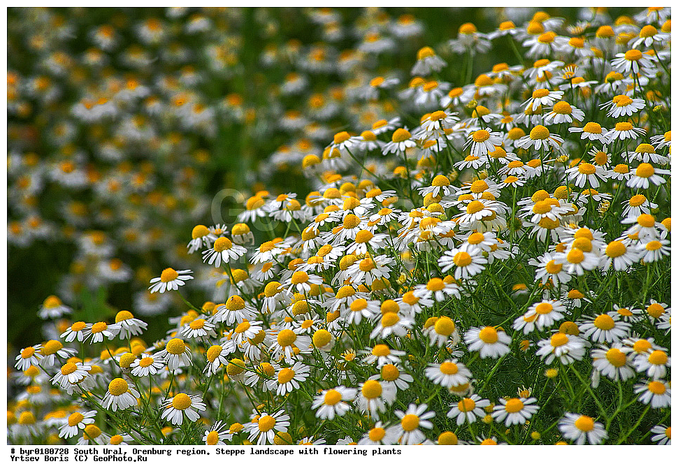  ����� ����, ������������ �������, ���������, ���, �������, ��������, �����, ������� ��������, ������� �������, �����, ������, �������, �����.