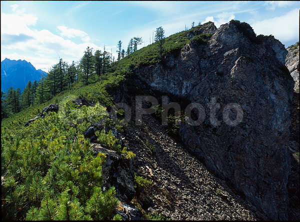 ������������ ������, �������, ����������, ��������, ������, .