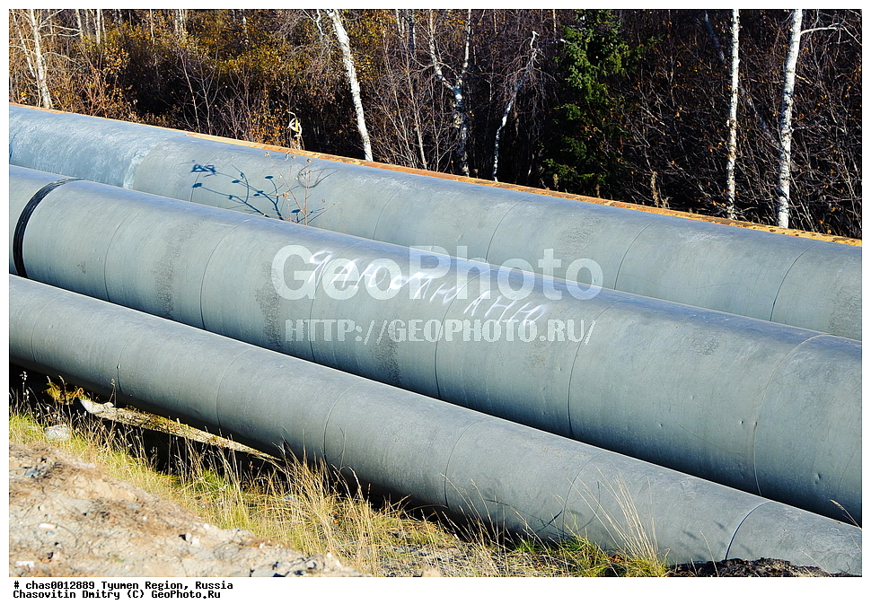  �������� ���������, ����� �������, �����-�������� ���������� �����, ����, ��������� �������, ������, �������� ������, ������