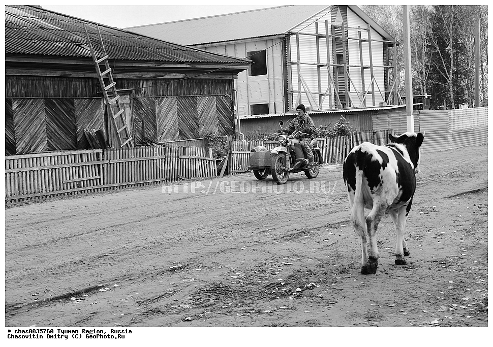 ����� ���������,������, ��������, ���������, �����-���������� ���������� �����, ����, ����, ��������� �������, ������, �������� ������, ������