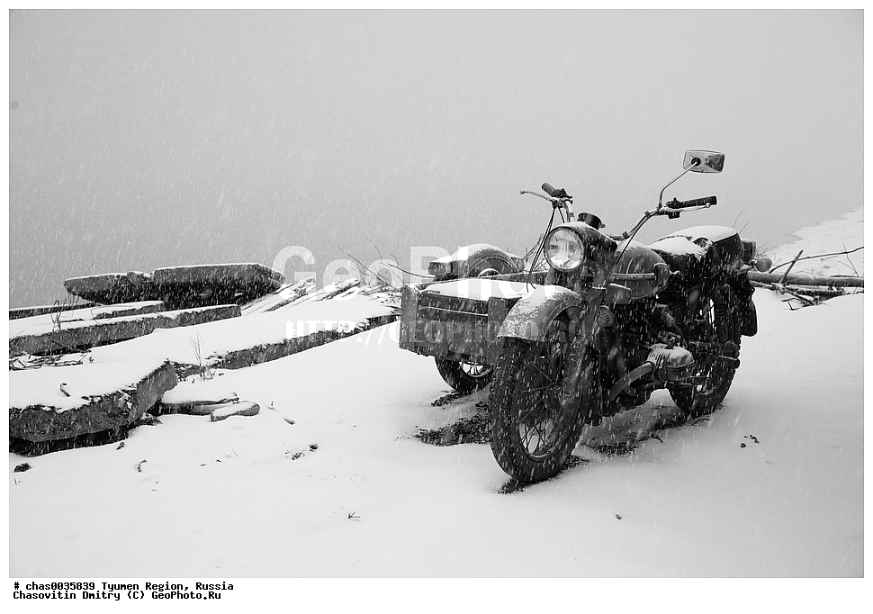 ����� ���������,��������, ������ ����, ���������, �����-���������� ���������� �����, ����, ����, ��������� �������, ������, �������� ������, ������