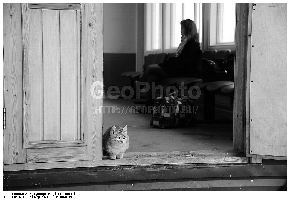 ����� ���������,�����, ��� ��������, ���������, �����-���������� ���������� �����, ����, ����, ��������� �������, ������, �������� ������, ������