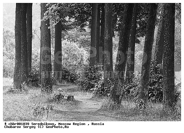 �����, �����������, �������, ������� �����������, �������, �����, ����, ������, �����������, �������, �����-�����