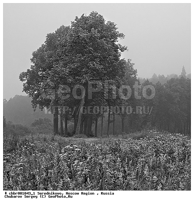 �����, �����������, �������, ������� �����������, �������, �����, ����, ������, �����������, �������, �����-�����