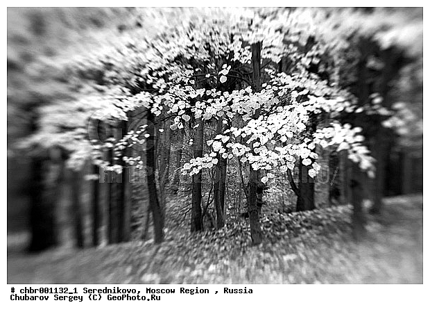 �����, �����������, �������, ������� �����������, �������, �����, ����, ������, �����������, �������, �����-�����