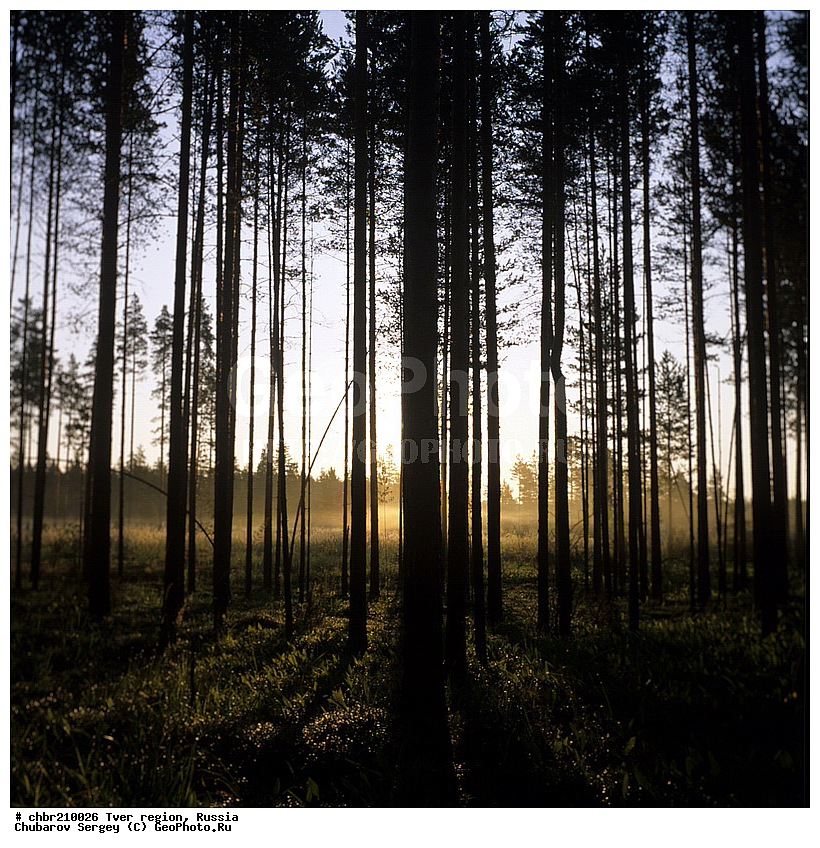 ���, ��������, ���, ������, ����, ������, ������, ��������, ��������, ��������, ����