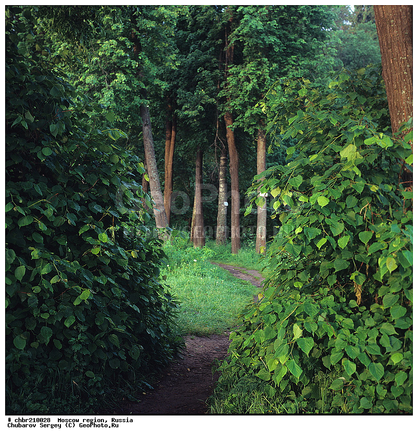 �����������, �����������, �������, ������, ����, ����, ��������, ������, ������������, ��������, ����