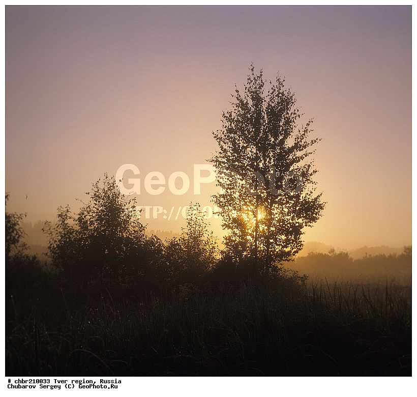 ���, ��������, ���, ������, ����, ������, ������, ��������, ��������, ��������, ����