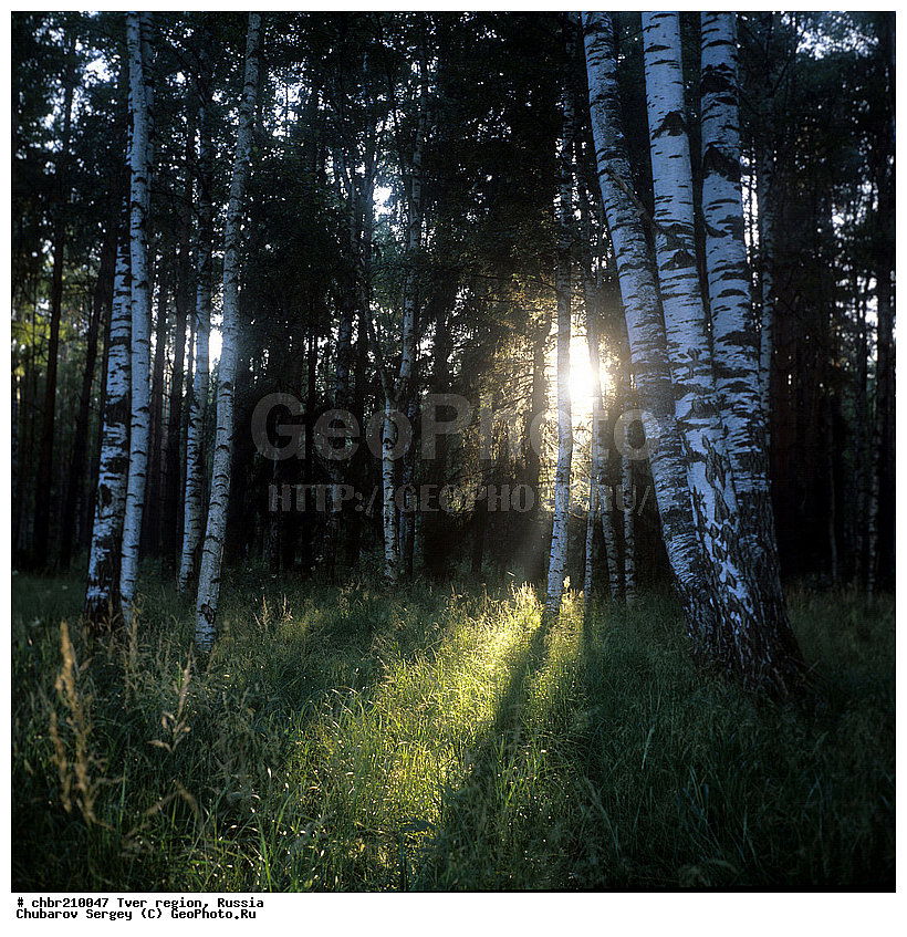 ���, ������, ��������, ��������, ������, ���, ������, ����, ������, ������, ��������, ������, ��������, ��������, ����