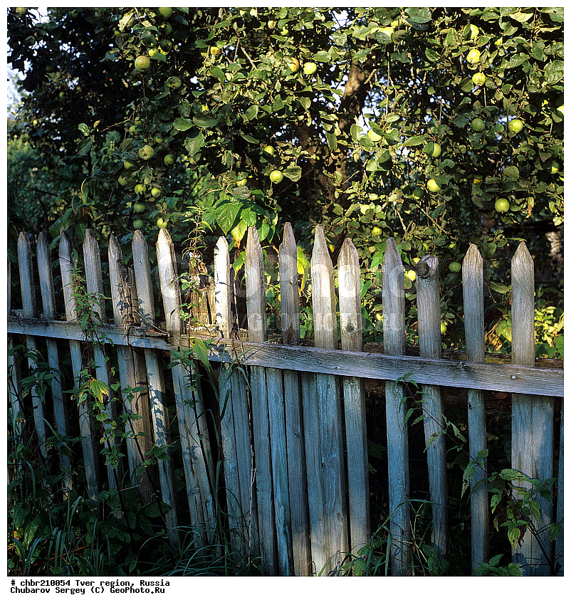 �����, ��������, ����, ������, ����, �������