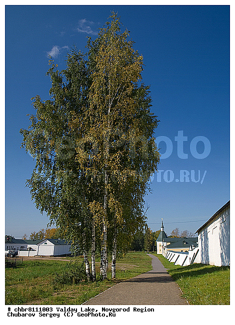 ������, ��������, ������������, ����, ���������