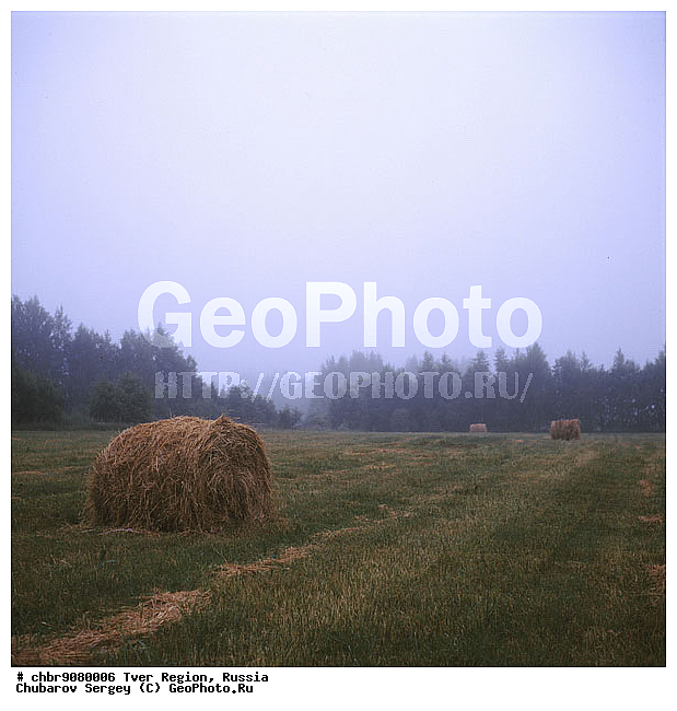 �������� �������, ����, ������