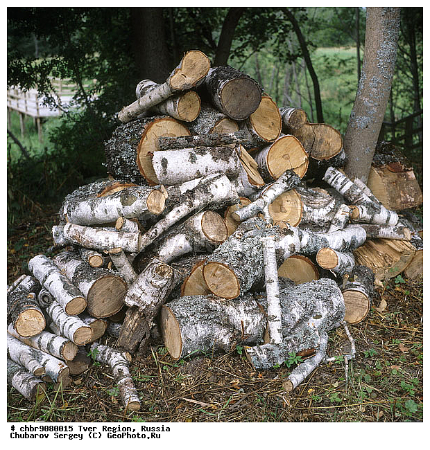 �������� �������, ��������� �����, �����, ���������, ����, ������, ���������