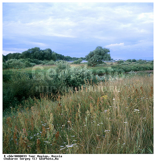 �������� �������, ����, ������