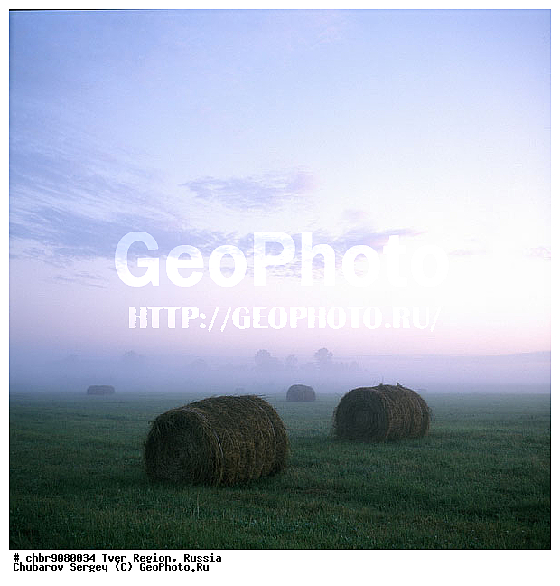 �������� �������, ����, ������