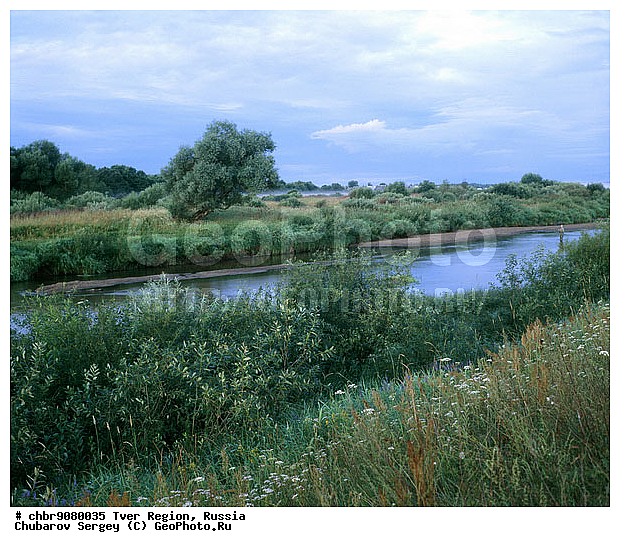 �������� �������, ����, ������