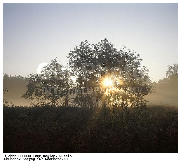 �������� �������, ����, ������