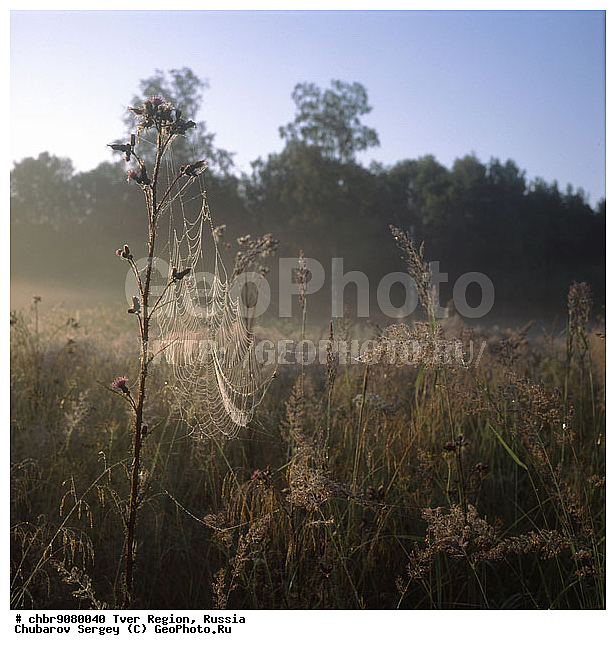 �������� �������, ����, ������