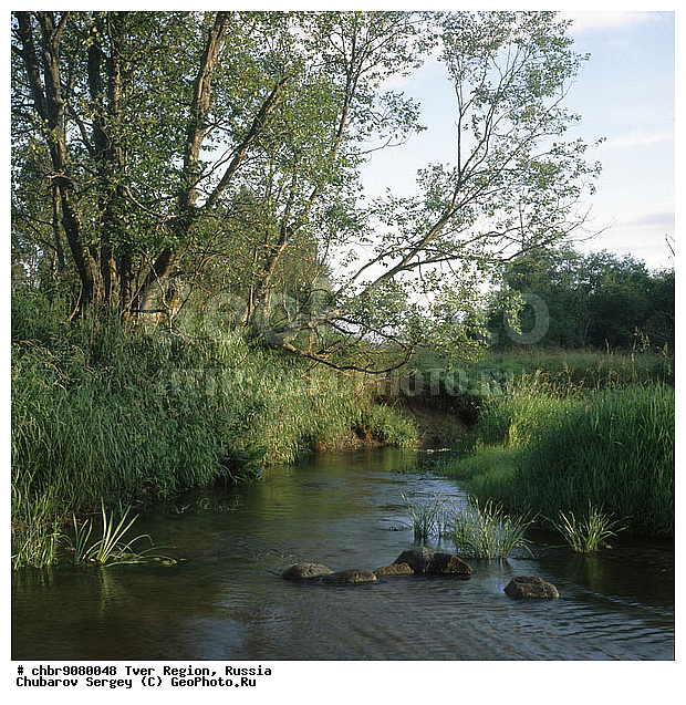 �������� �������, ����, ������