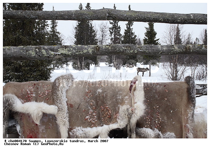 "����������� �������", �����, ���������� �������, �������, �����, ������, ������������, ����, ������������, ��������������, ��������