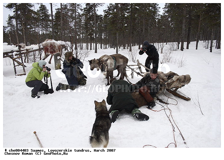 "����������� �������", �����, ���������� �������, ������������, �����