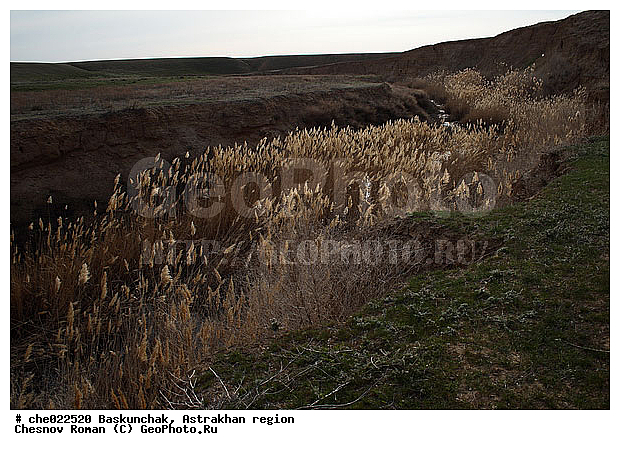 ���������, ������� �����, ����, ������� ��������, �����, ������