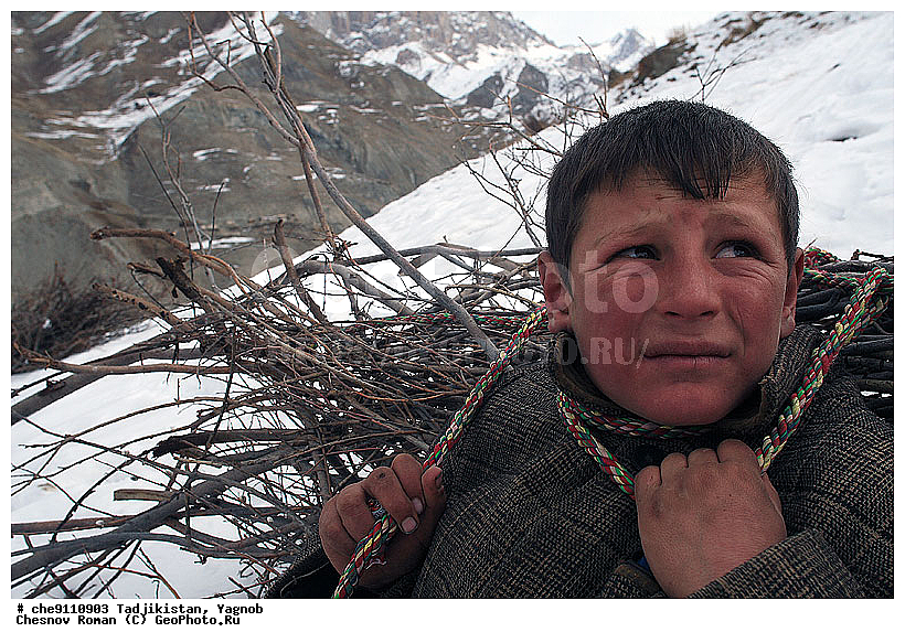 �����������, ����������, �����, �������