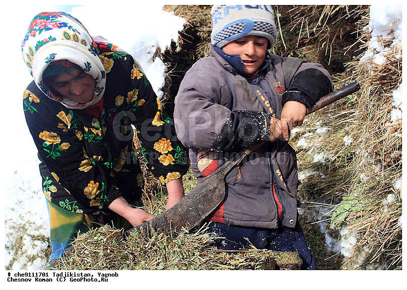 �����������, ����������, �����, �������