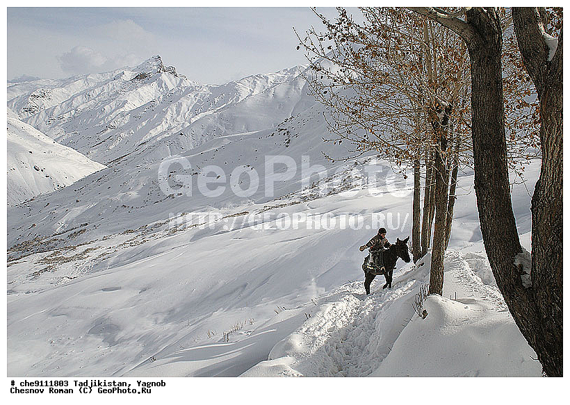 �����������, ����������, �����, �������