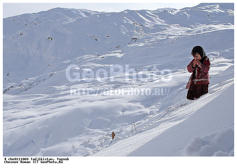 �����������, ����������, �����, �������