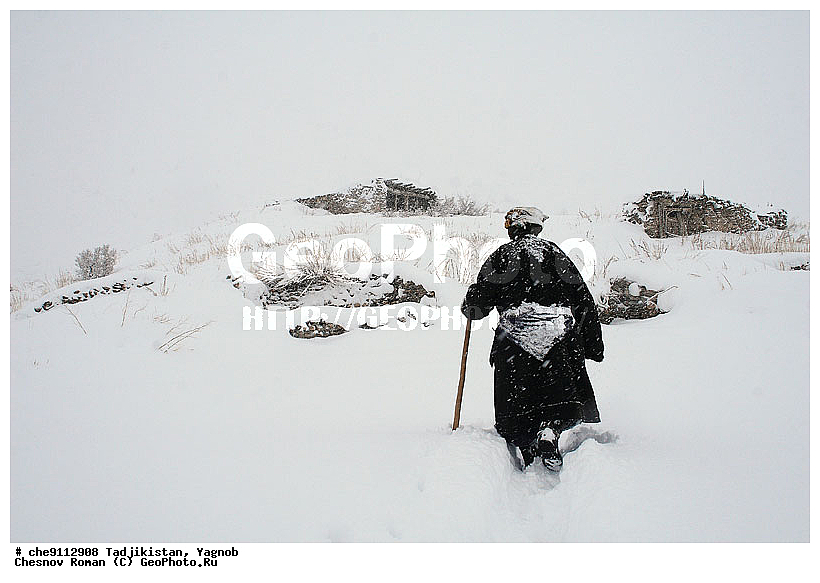 �����������, ����������, �����, �������