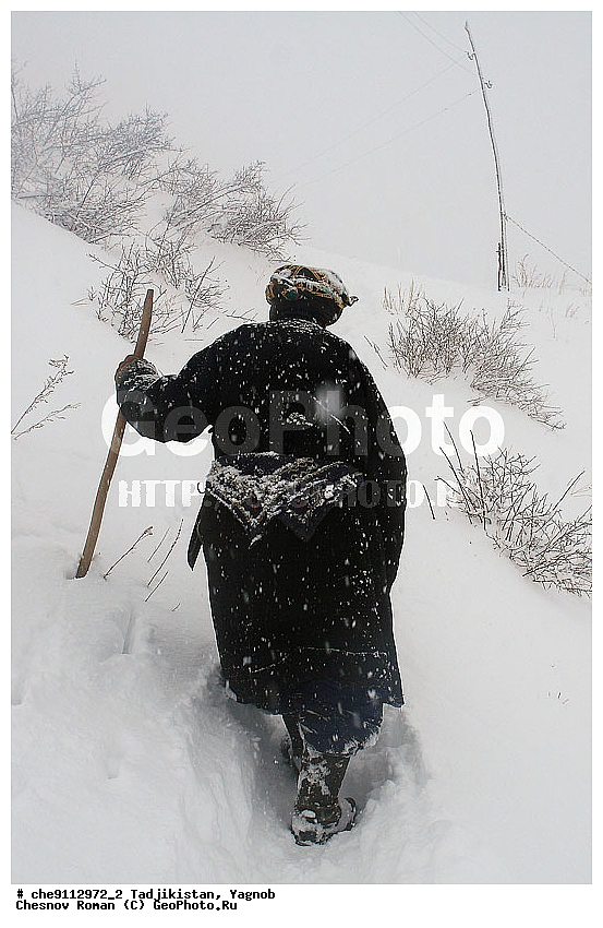 �����������, ����������, �����, �������