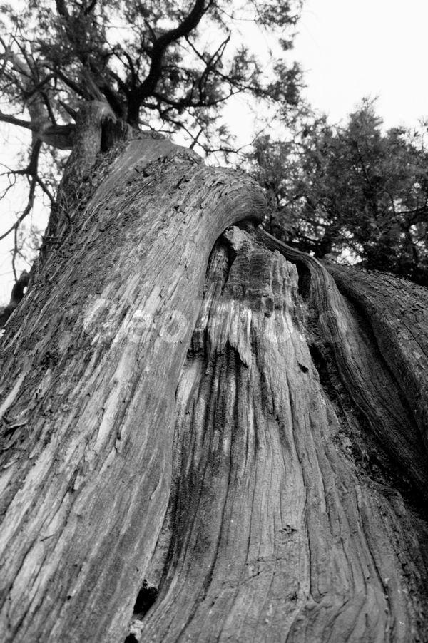 �������, ������, �����, ������, ���������