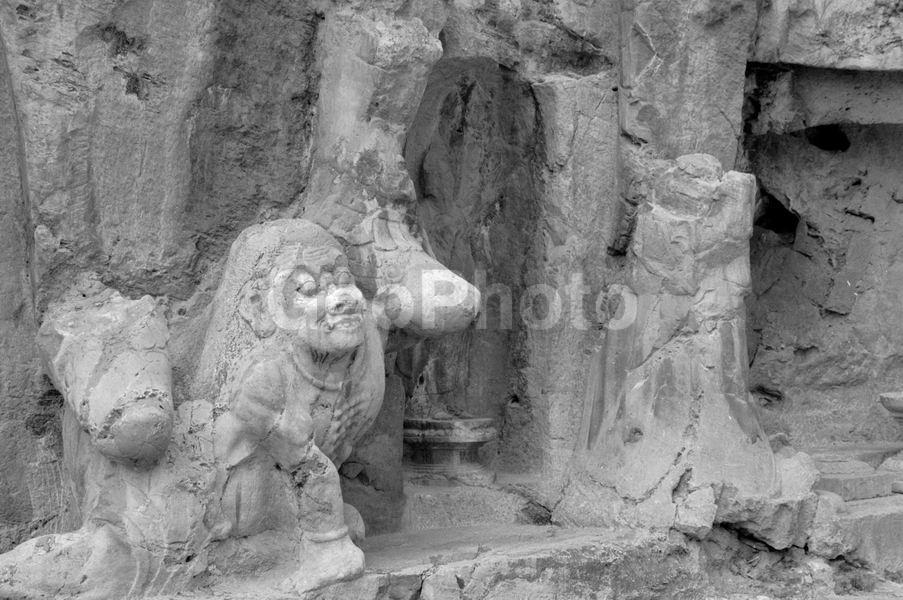 �����, �������, �����, �������� ������������� ��������, ���������, �������, ����������